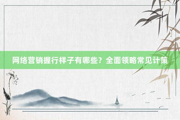 网络营销握行样子有哪些？全面领略常见计策