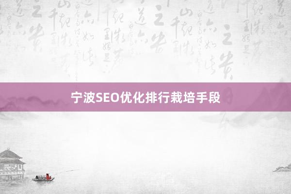 宁波SEO优化排行栽培手段